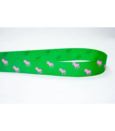 Polo Ralph Lauren Verde Esmeralda/Fucsia 22mm