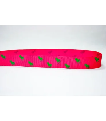 Polo Ralph Lauren Fucsia/Verde 22mm