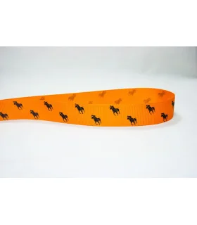 Polo Ralph Lauren Mandarina/marino 22mm