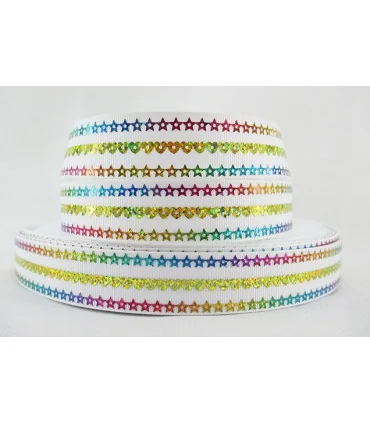 Lentejuelas laser 22mm