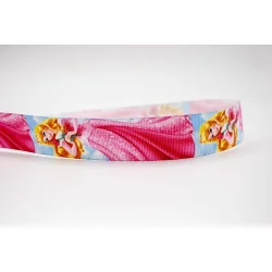 Cinta de PRINCESA AURORA 25mm